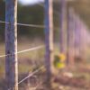 Agri Securitas Trust Fund